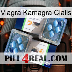 Viagra Kamagra Cialis viagra5